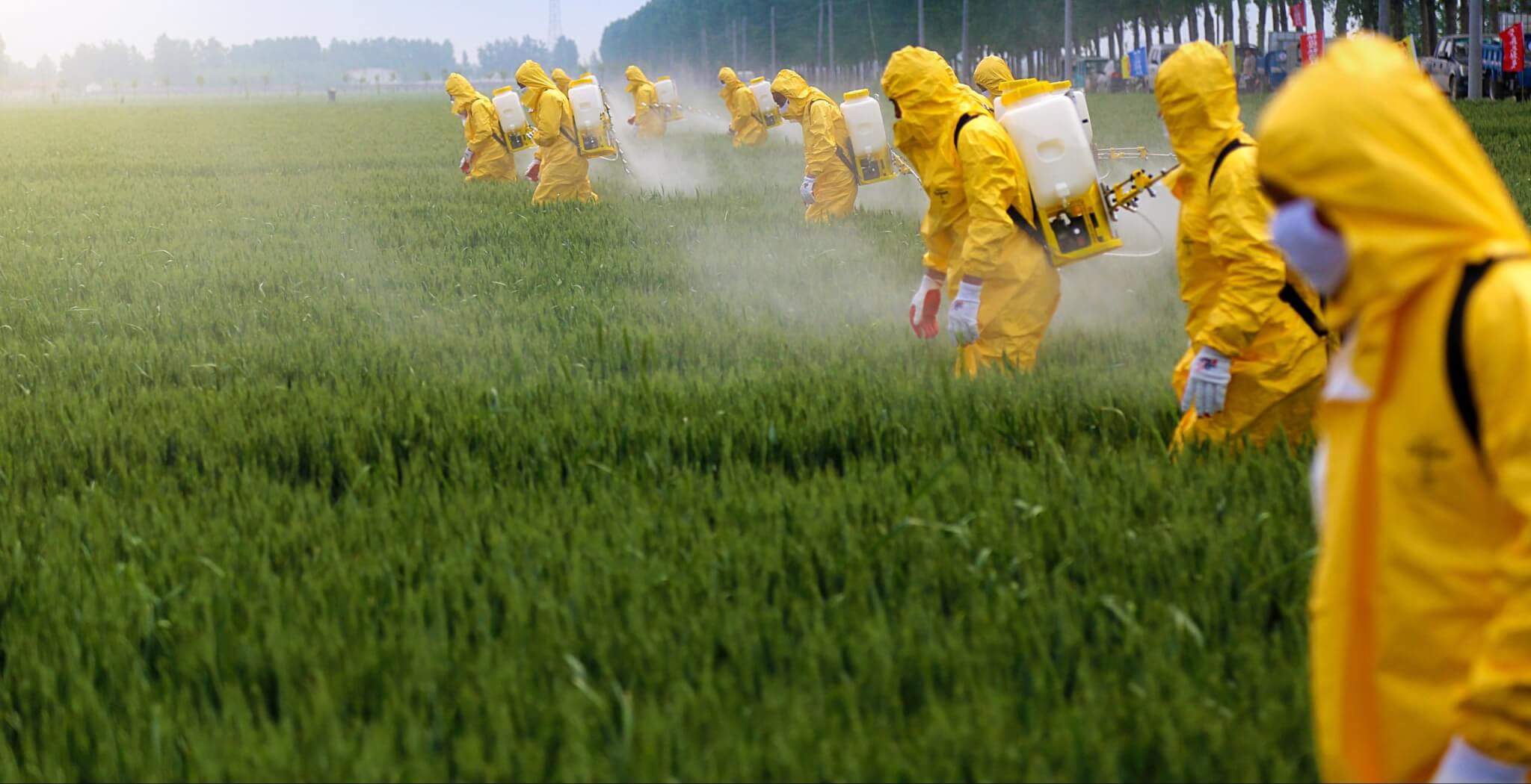 pesticides on your food