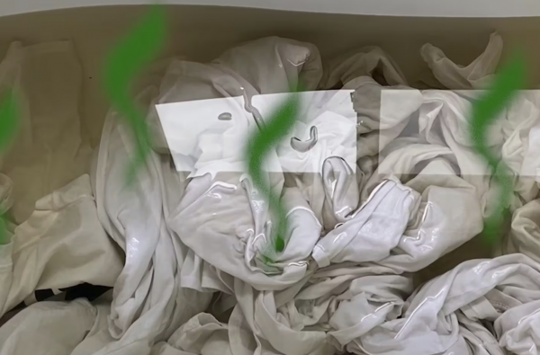 Why Strip Your Laundry? It’s MUCH Dirtier Than It Seems